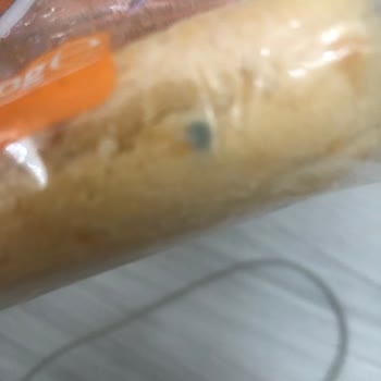 Tost Ekmeği Kısa Sürede Küflendi, Müşteri Hizmetlerine Ulaşamıyorum
