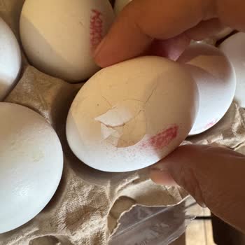 Migros Sanal Marketten Gelen Kırık Yumurtalar Ve Yetersiz Destek