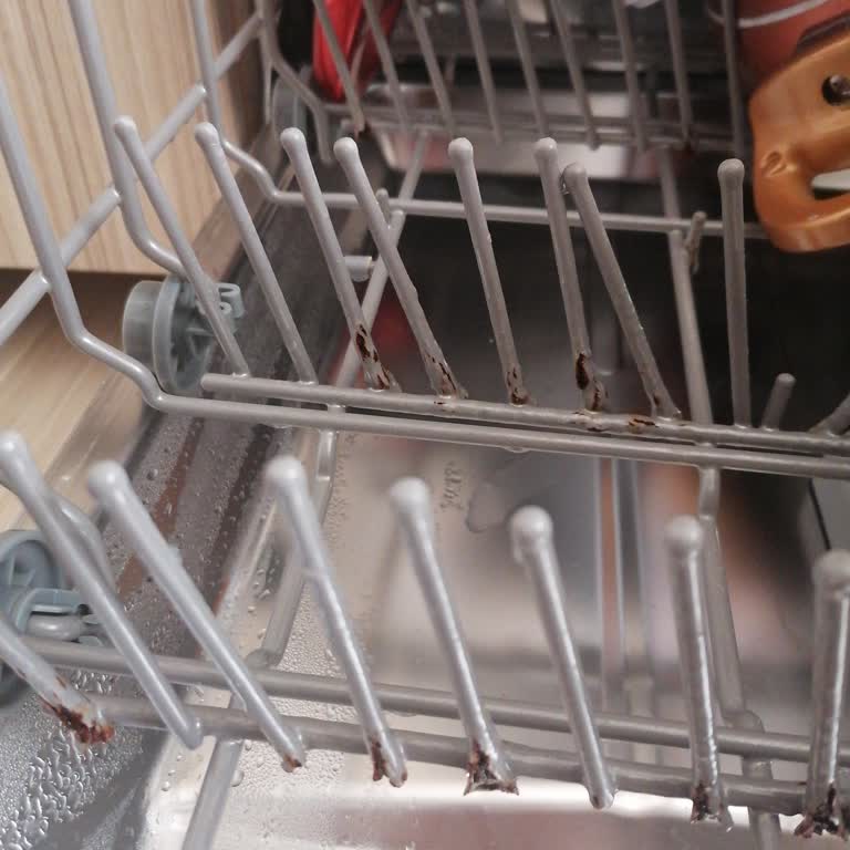 Bulaşık Makinesi Sepetlerinde Garanti Sonrası Paslanma Sorunu