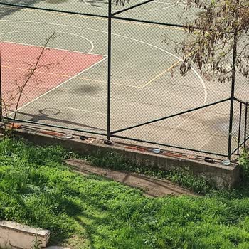 Parktaki Kedi Mama Ve Su Kaplarına Müdahale Edilmesin!