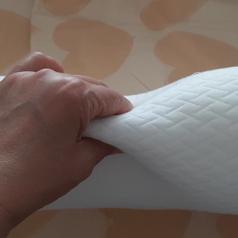 Bed-Line Yastık Sağlığımı Bozdu, Mağduriyetimin Giderilmesini İstiyorum