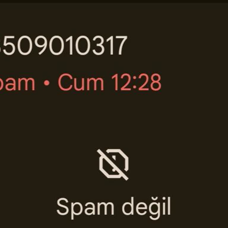 08509010317 Tarafından Aranma