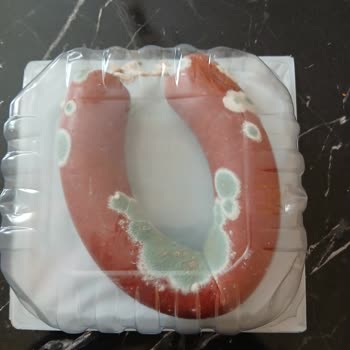 Son Tüketim Tarihi Geçmemiş Maret Sucukta Küflenme Sorunu