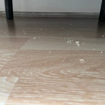 Koltuk Örtüsü Sürekli Tüy Döküyor, Çözüm Sunulmuyor