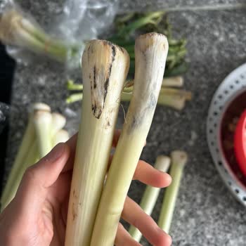 Küflü Ürün, İlgisiz Hizmet: Değişim Ve İade Yapılmadı