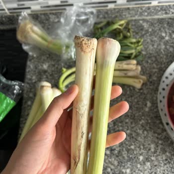 Küflü Ürün, İlgisiz Hizmet: Değişim Ve İade Yapılmadı