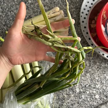Küflü Ürün, İlgisiz Hizmet: Değişim Ve İade Yapılmadı
