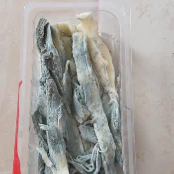 Aldığım Çeçil Peynirin Son Kullanma Tarihi Geçmeden Küflenmesi