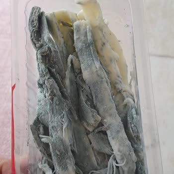 Aldığım Çeçil Peynirin Son Kullanma Tarihi Geçmeden Küflenmesi