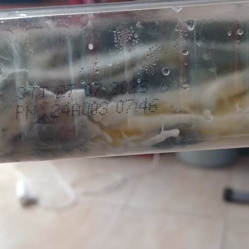 Aldığım Çeçil Peynirin Son Kullanma Tarihi Geçmeden Küflenmesi