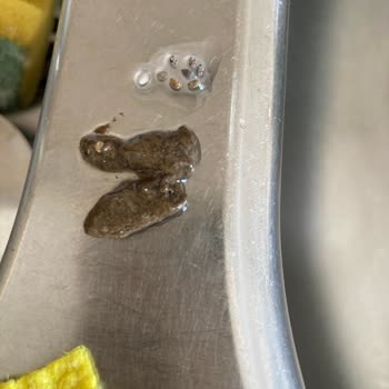 Happy Life Organik Chia Tohumundan Çıkan Yabancı Madde Güvenimi Sarstı