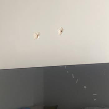 Montaj Ekibinin Hatalı Duvar Delmesi Nedeniyle Yaşanan Mağduriyet