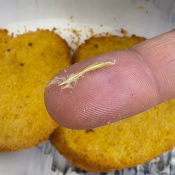 Aldığım Şnitzelin İçinden Civciv Tüyü Çıktı, Sağlığımız Tehlikede