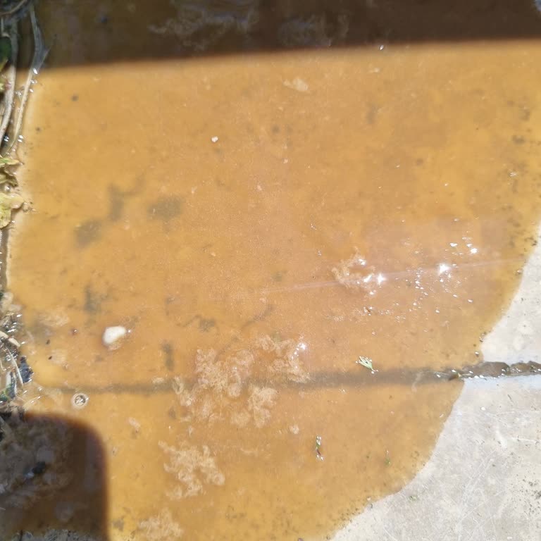 A101 Aldığım Kahveli Sütlü İçecekte Garip Katı Parçalar Çıktı