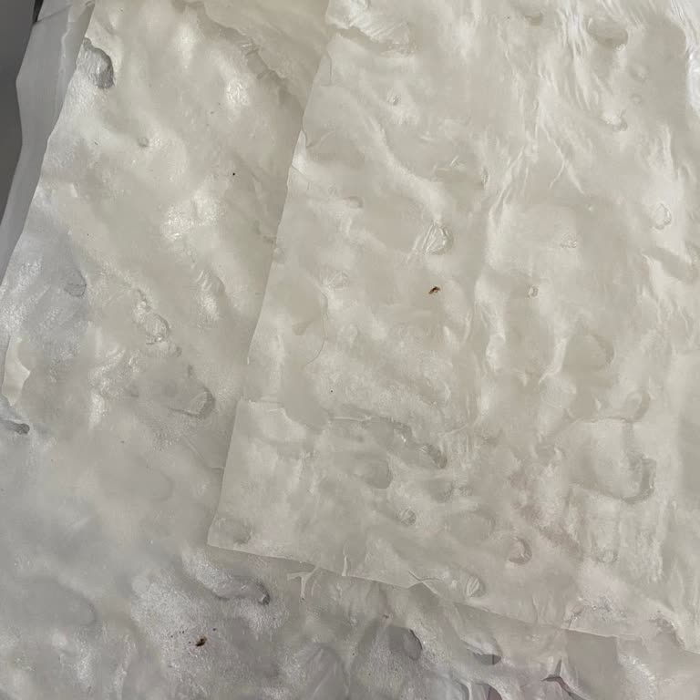 Güllaç Paketinde Böcek Çıkmasıyla Büyük Hayal Kırıklığı