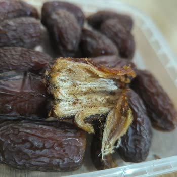 File Market'ten Alınan Hurmanın İçinden Kurt Çıkması