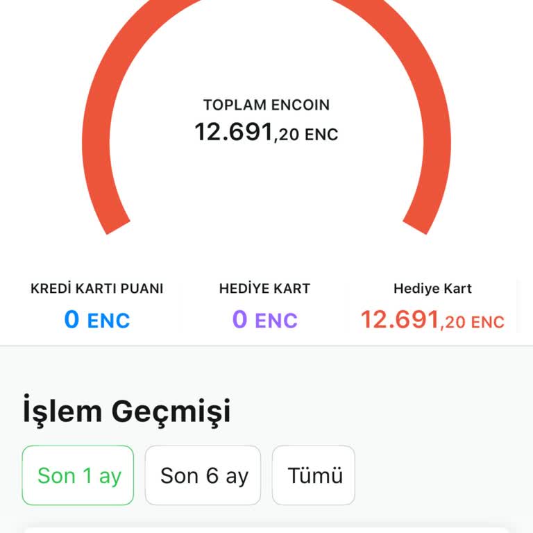 Param İzinsiz ENCOİN'e Çevrildi, İadem Gecikiyor