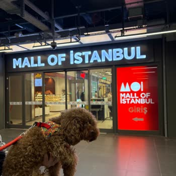 Mall Of İstanbul AVM'de Köpekle Girişte Aniden Yasak Ve Olumsuz Güvenlik Tavrı