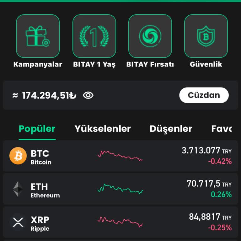 Bitay Hesabımdaki Paramı Çekemiyorum Ve Ciddi Zarar Yaşadım