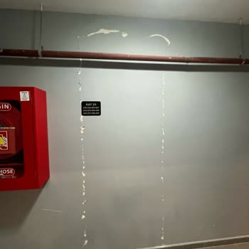 Deprem Sonrası Hasarlı Binada Asansör Sorunu Nedeniyle Taşınamıyoruz