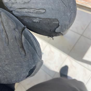 Garantiye Gönderilen Spor Ayakkabı Kullanıcı Hatası Denilerek Geri Gönderildi