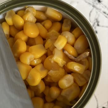 Konserve Mısırdan Kurt Çıktı, Sağlıksız Üretimden Şüpheliyim