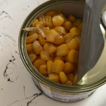 Konserve Mısırdan Kurt Çıktı, Sağlıksız Üretimden Şüpheliyim