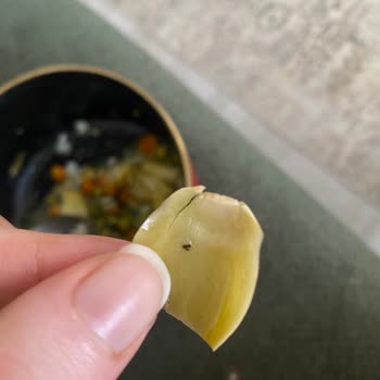 Konserve Enginarda Yabancı Madde Şoku: Sağlık Riski!