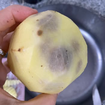 Aldığım Patateslerin Yarısı Çürük Ve Bozuk Çıktı