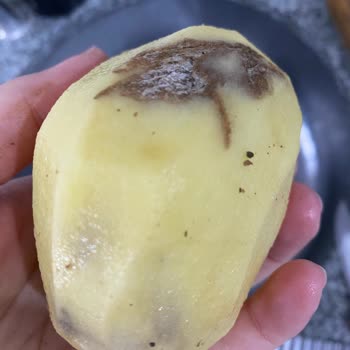 Aldığım Patateslerin Yarısı Çürük Ve Bozuk Çıktı