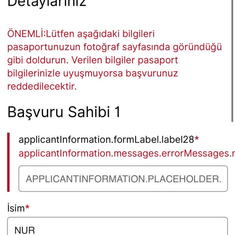 VFS Global Lüksemburg Vize Randevu Sisteminde Sürekli Hata Alıyorum