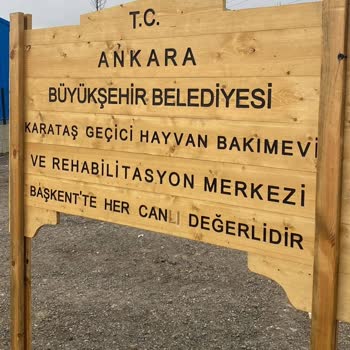 Ankara Büyükşehir Belediyesi Karataş Hayvan Bakımevi'nde Çalışanların Kaba Ve Saldırgan Davranışları