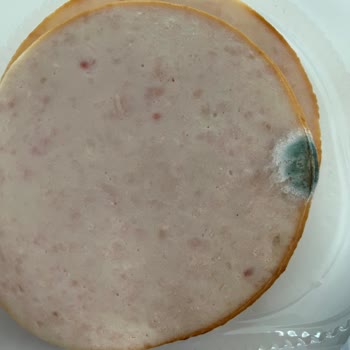 BİMden Aldığım Hindi Füme Son Kullanım Tarihi Geçmeden Küflendi