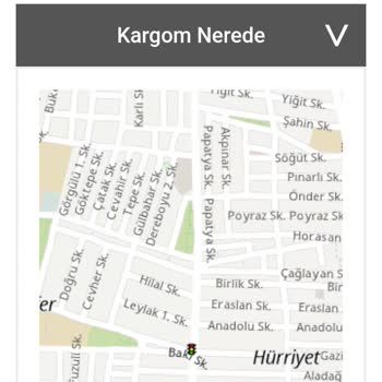 Siparişim Yanlış Adrese Teslim Edildi, Ürünüm Kayboldu