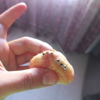 Migros'tan Aldığım Tavukta Hijyen Sorunu Ve Hayal Kırıklığı