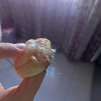 Migros'tan Aldığım Tavukta Hijyen Sorunu Ve Hayal Kırıklığı