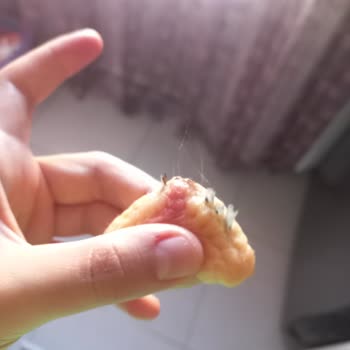 Migros'tan Aldığım Tavukta Hijyen Sorunu Ve Hayal Kırıklığı