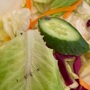 Green Salads’ta Hijyen Sorunu Ve İlgisiz Personel Deneyimi