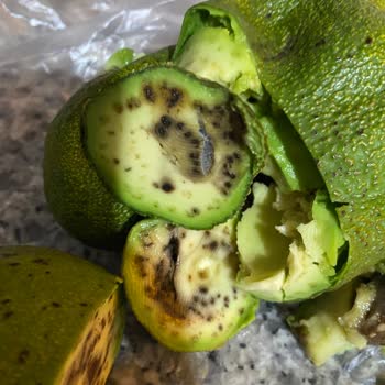Carrefour'dan Satın Alınan Avokadoların Çürük Çıkması Ve Para İadesi Talebi