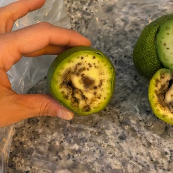 Carrefour'dan Satın Alınan Avokadoların Çürük Çıkması Ve Para İadesi Talebi