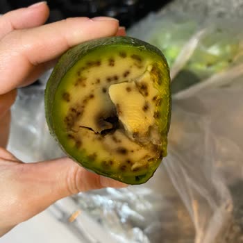 Carrefour'dan Satın Alınan Avokadoların Çürük Çıkması Ve Para İadesi Talebi