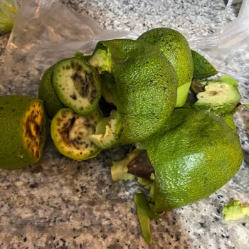 Carrefour'dan Satın Alınan Avokadoların Çürük Çıkması Ve Para İadesi Talebi