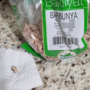 Barbunya Paketinden Çıkan Taş Az Daha Dişimizi Kırıyordu