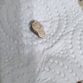 Barbunya Paketinden Çıkan Taş Az Daha Dişimizi Kırıyordu