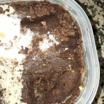 Bozuk Ve Buzlanmış Carte D'or Dondurma Hayal Kırıklığı Yarattı