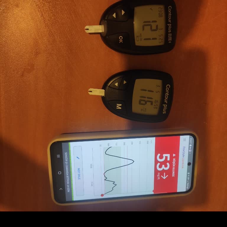 FreeStyle Libre 2 Sensöründe Ölçüm Tutarsızlığı Ve Güven Sorunu