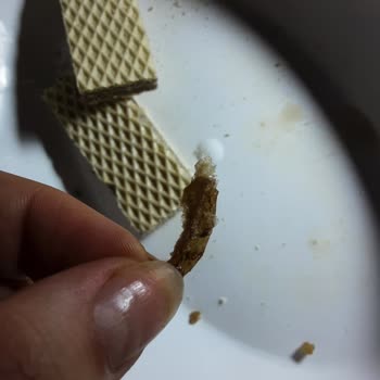 Eti Hoşbeş Gofretin İçinden Yabancı Cisim Çıkması Nedeniyle Sağlık Ve Hijyen Endişesi