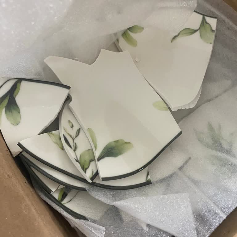 Kırık Gelen Ürün, Yetersiz Müşteri Hizmetleri Ve Geciken İade