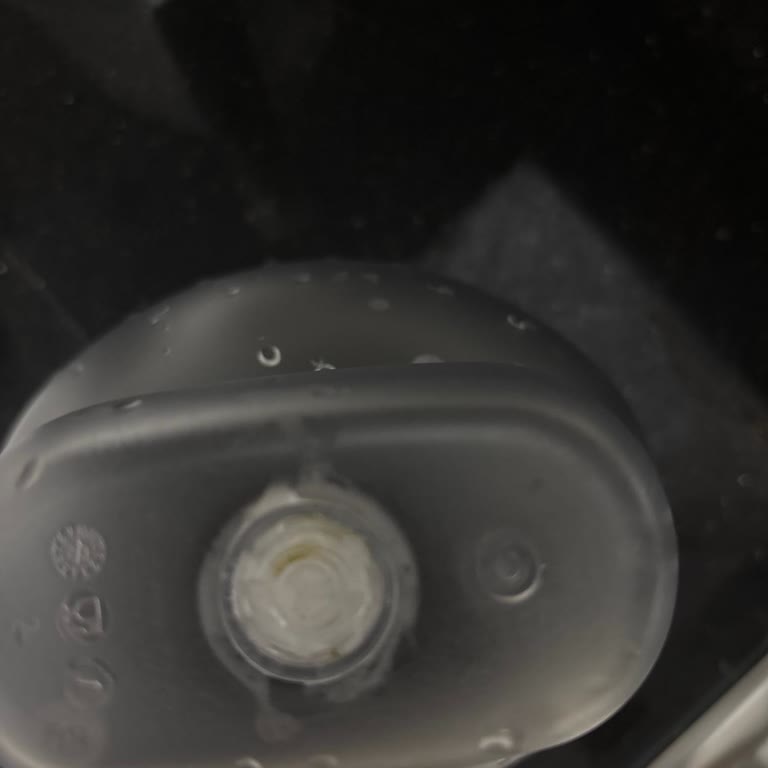 Brita Sürahinin Alt Kısmında Yosunlanma Ve Temizlik Sorunu