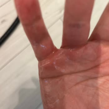 Buharlı Temizlik Makinesi Kısa Sürede Arızalandı Ve Güvenimi Sarsıldı